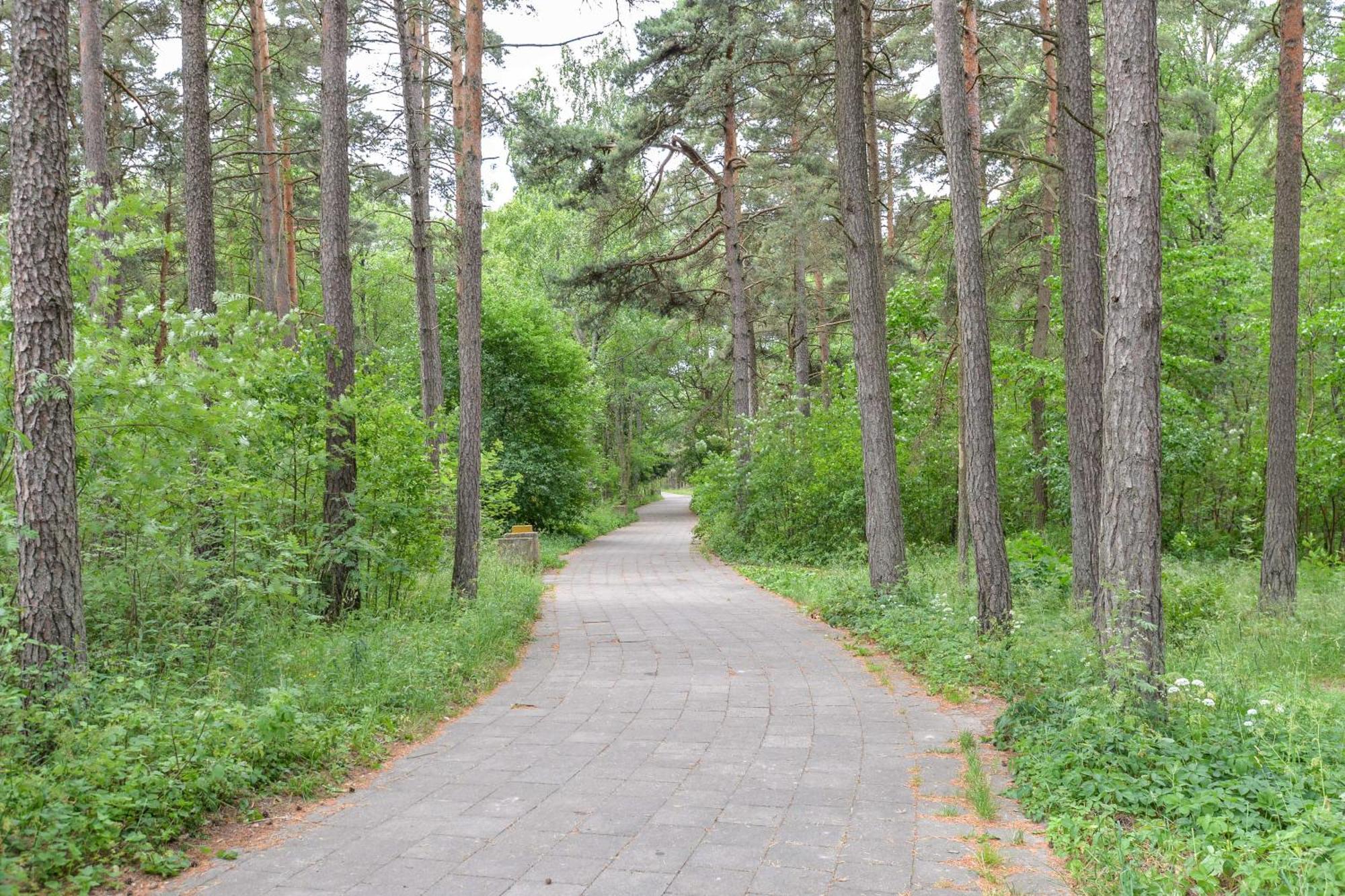 Studija Vanagupes 13 Palanga Eksteriør bilde